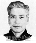 김진완     사진